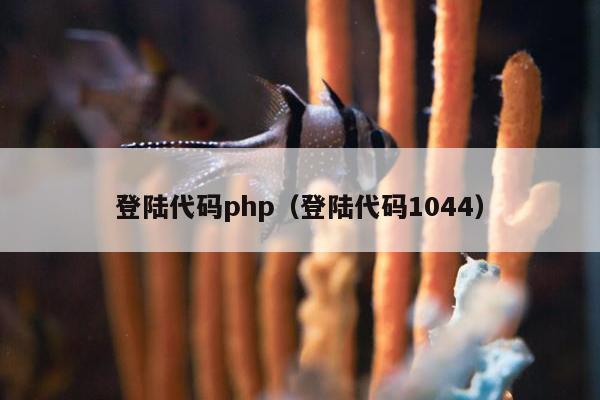 登陆代码php（登陆代码1044）