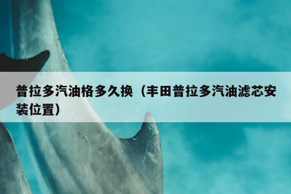 普拉多汽油格多久换（丰田普拉多汽油滤芯安装位置）