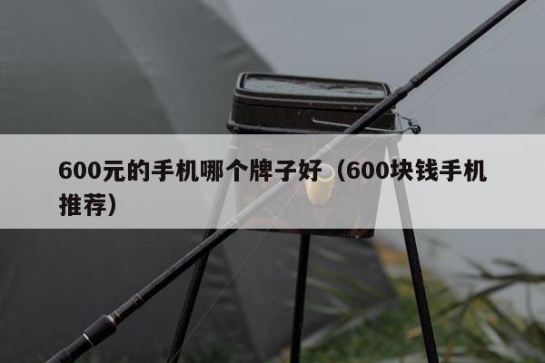 600元的手机哪个牌子好（600块钱手机推荐）