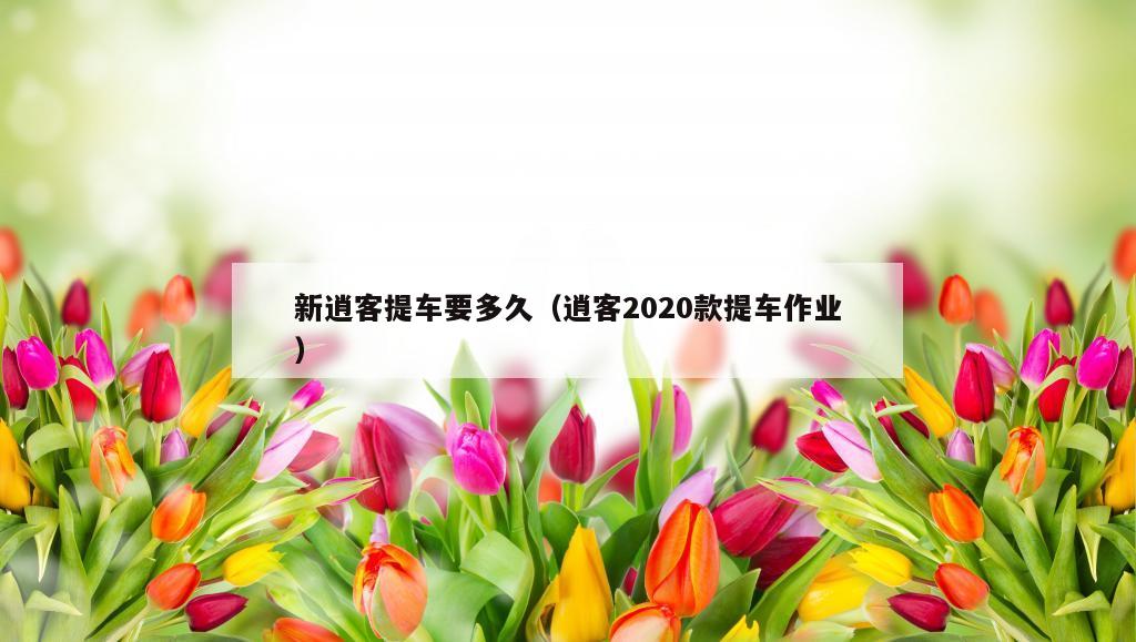 新逍客提车要多久（逍客2020款提车作业）