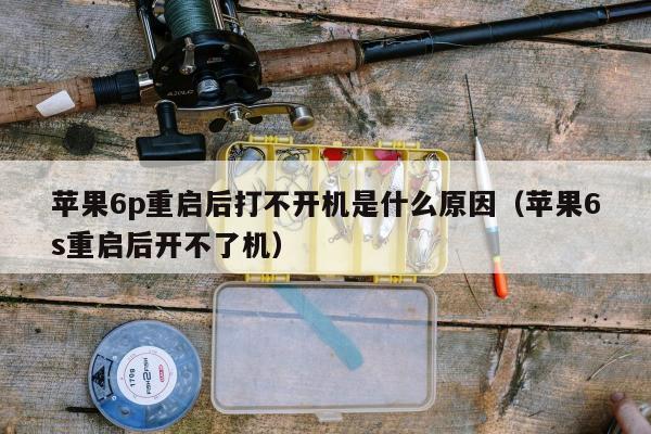 苹果6p重启后打不开机是什么原因（苹果6s重启后开不了机）