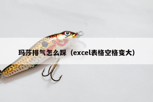 玛莎排气怎么踩（excel表格空格变大）