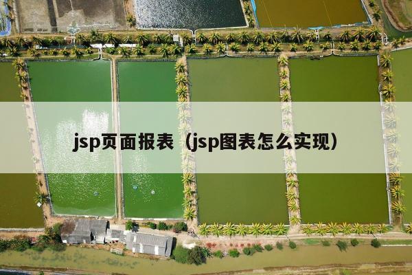 jsp页面报表（jsp图表怎么实现）