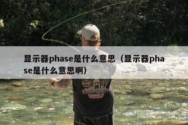 显示器phase是什么意思（显示器phase是什么意思啊）