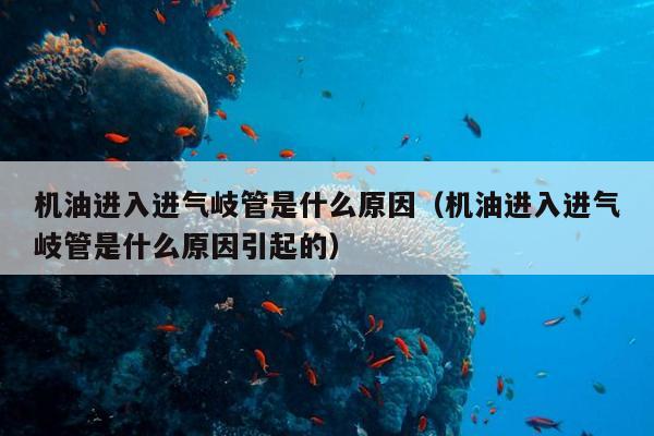 机油进入进气岐管是什么原因（机油进入进气岐管是什么原因引起的）