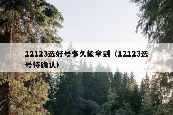 12123选好号多久能拿到（12123选号待确认）