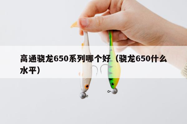 高通骁龙650系列哪个好（骁龙650什么水平）