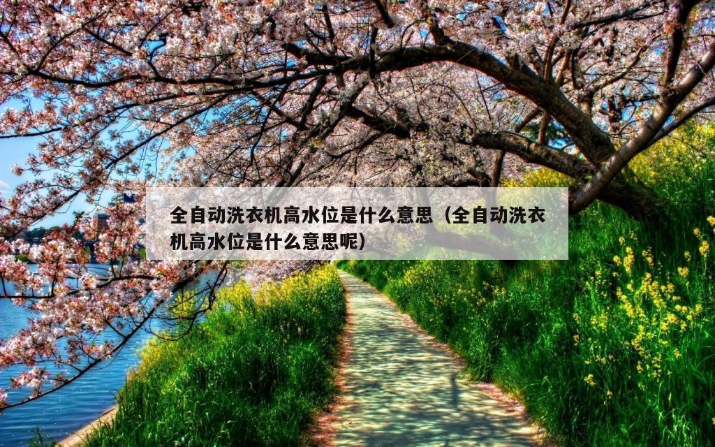 全自动洗衣机高水位是什么意思（全自动洗衣机高水位是什么意思呢）