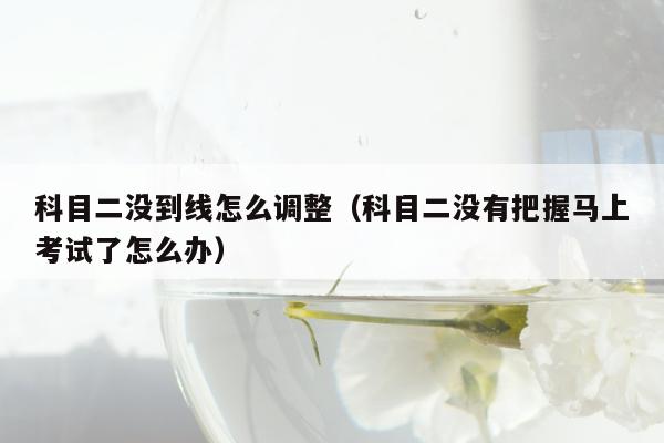 科目二没到线怎么调整（科目二没有把握马上考试了怎么办）