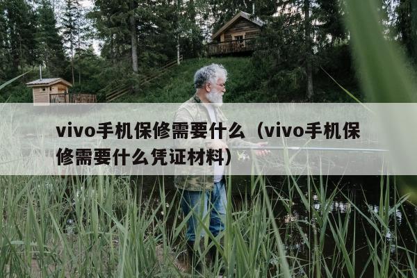 vivo手机保修需要什么（vivo手机保修需要什么凭证材料）