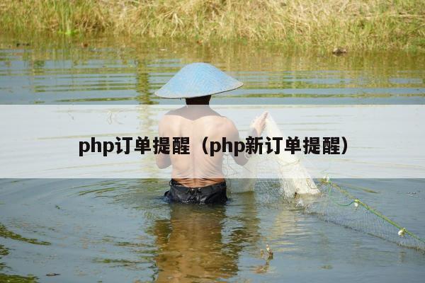 php订单提醒（php新订单提醒）