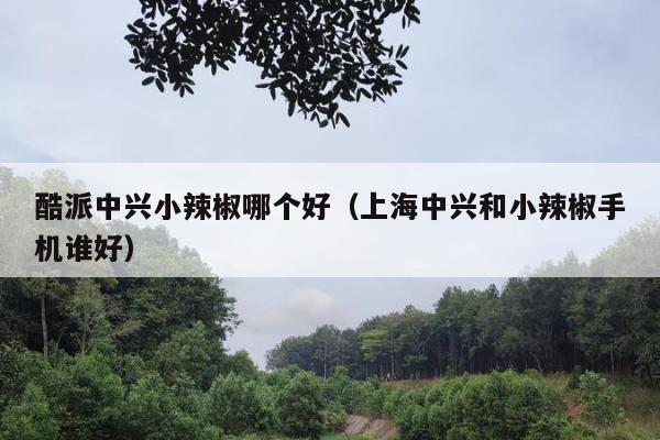 酷派中兴小辣椒哪个好（上海中兴和小辣椒手机谁好）