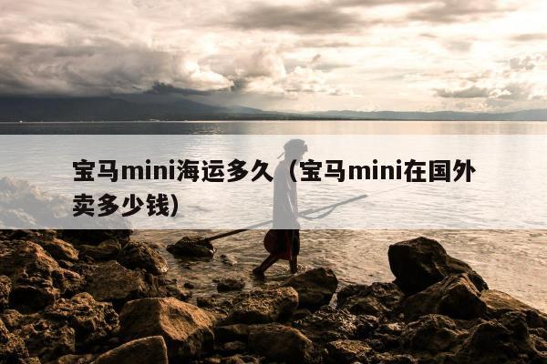 宝马mini海运多久（宝马mini在国外卖多少钱）