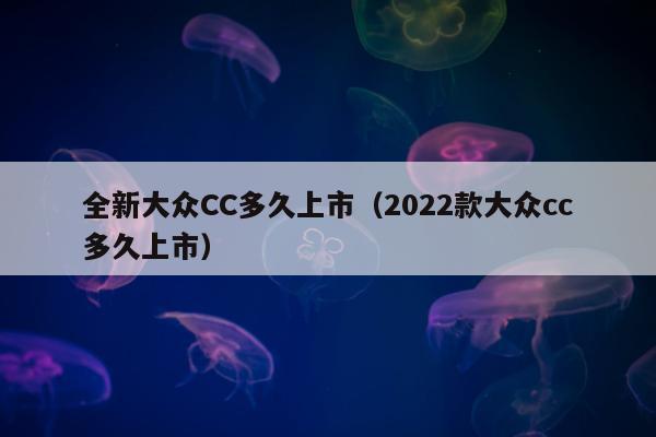 全新大众CC多久上市（2022款大众cc多久上市）