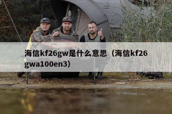 海信kf26gw是什么意思（海信kf26gwa100en3）