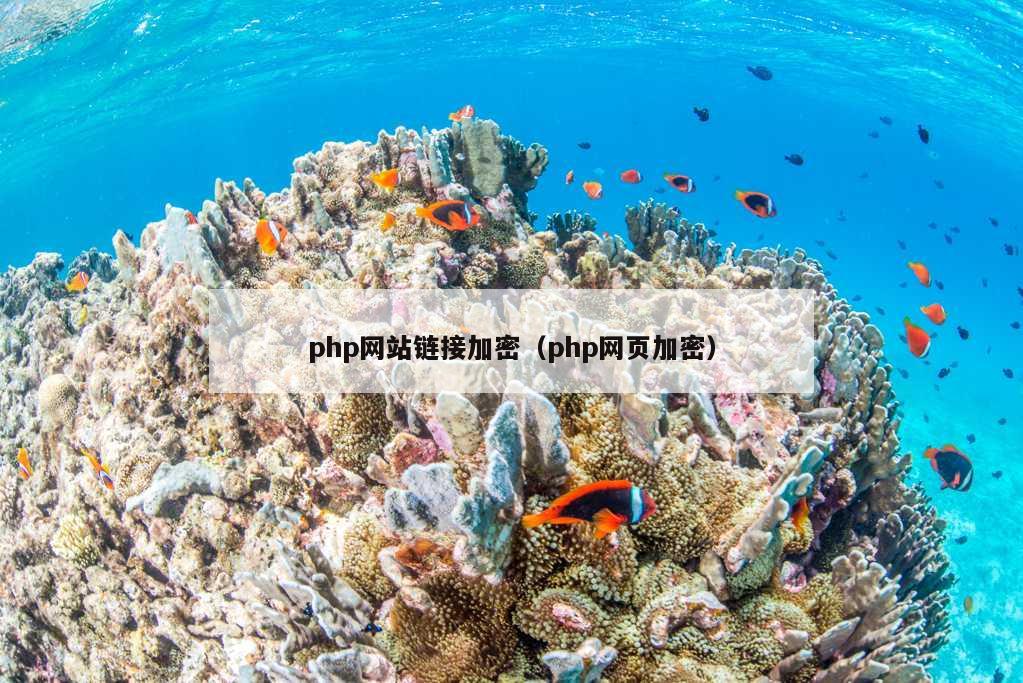 php网站链接加密（php网页加密）