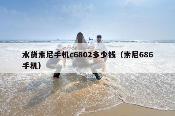 水货索尼手机c6802多少钱（索尼686手机）