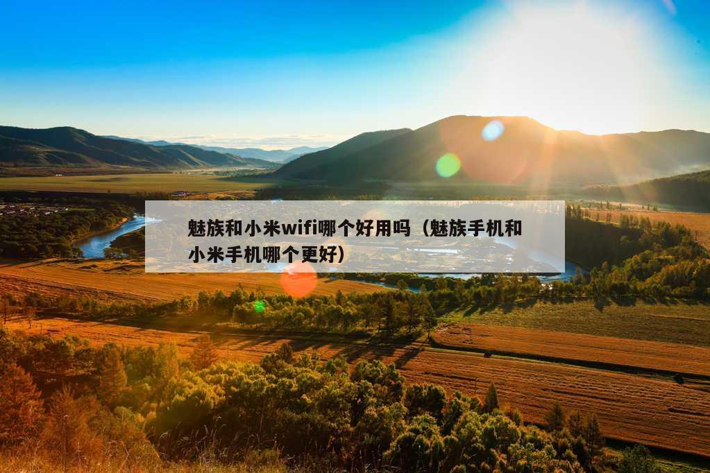 魅族和小米wifi哪个好用吗（魅族手机和小米手机哪个更好）