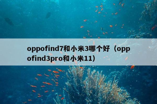 oppofind7和小米3哪个好（oppofind3pro和小米11）