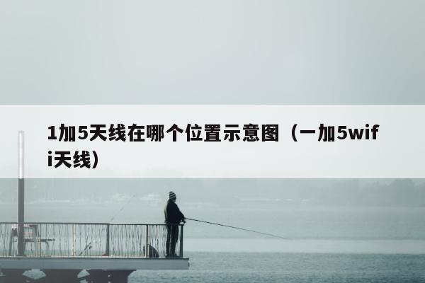 1加5天线在哪个位置示意图（一加5wifi天线）