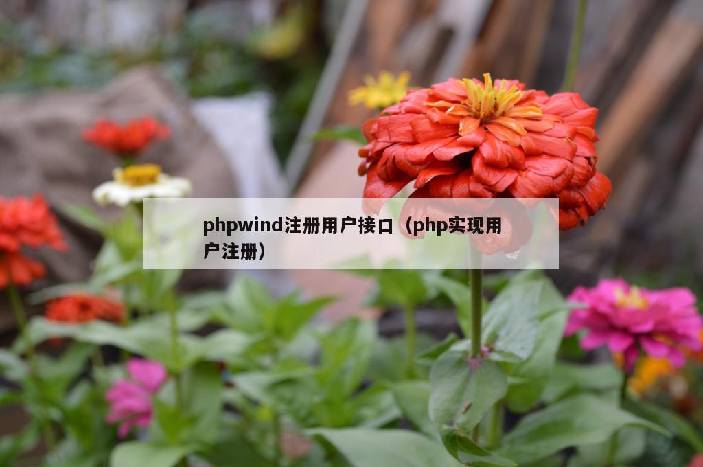 phpwind注册用户接口（php实现用户注册）