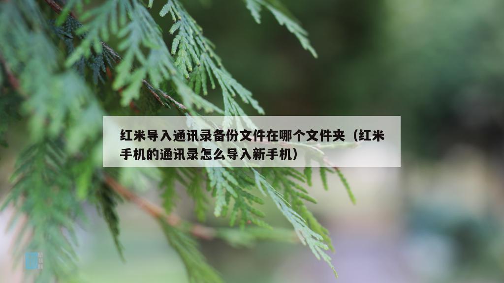 红米导入通讯录备份文件在哪个文件夹（红米手机的通讯录怎么导入新手机）