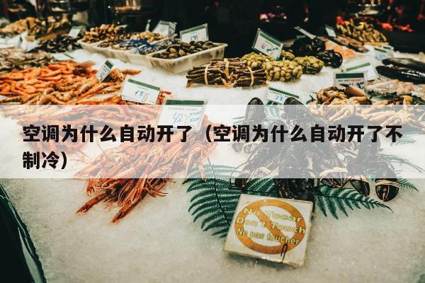 空调为什么自动开了（空调为什么自动开了不制冷）