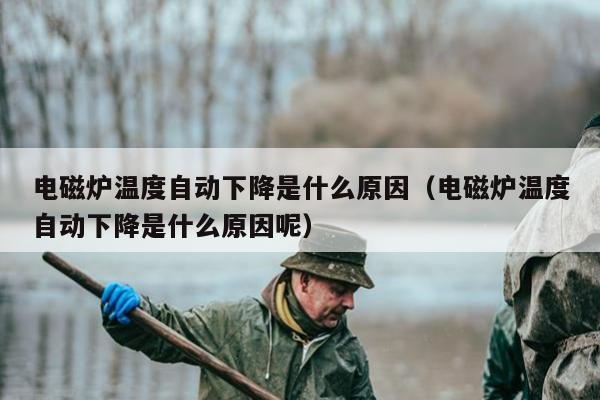 电磁炉温度自动下降是什么原因（电磁炉温度自动下降是什么原因呢）