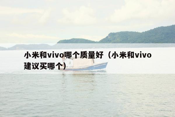 小米和vivo哪个质量好（小米和vivo建议买哪个）