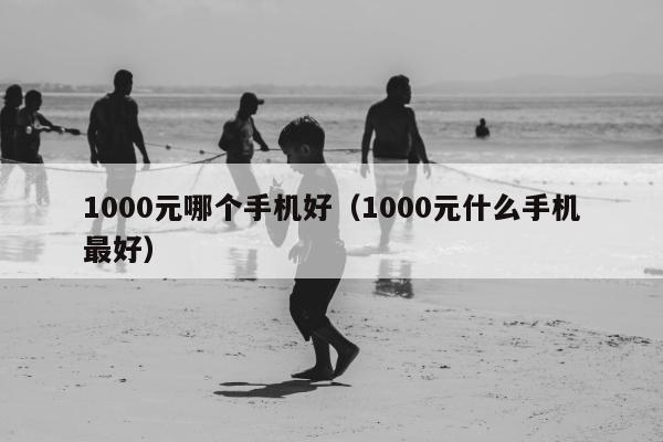 1000元哪个手机好（1000元什么手机最好）