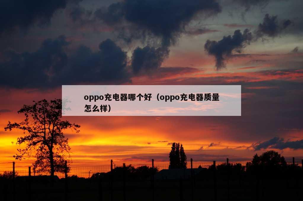 oppo充电器哪个好（oppo充电器质量怎么样）