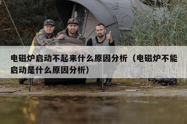 电磁炉启动不起来什么原因分析（电磁炉不能启动是什么原因分析）