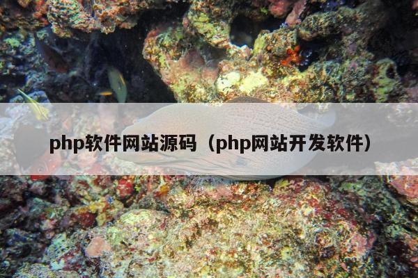 php软件网站源码（php网站开发软件）