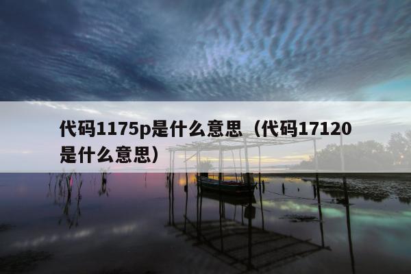 代码1175p是什么意思（代码17120是什么意思）