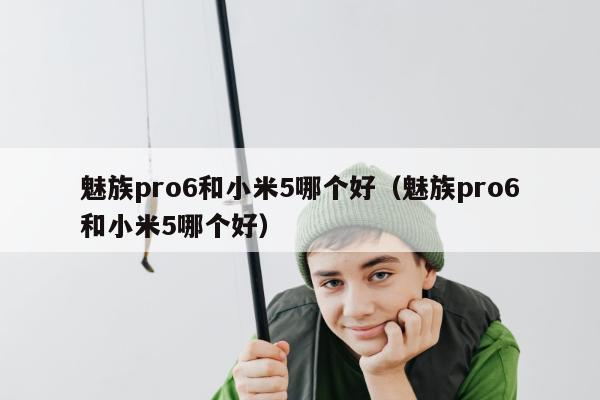 魅族pro6和小米5哪个好（魅族pro6和小米5哪个好）