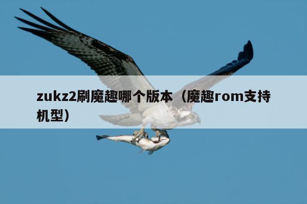 zukz2刷魔趣哪个版本（魔趣rom支持机型）