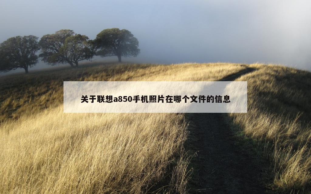 关于联想a850手机照片在哪个文件的信息