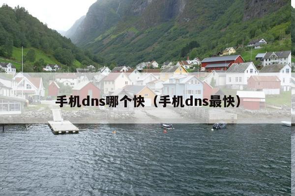 手机dns哪个快（手机dns最快）