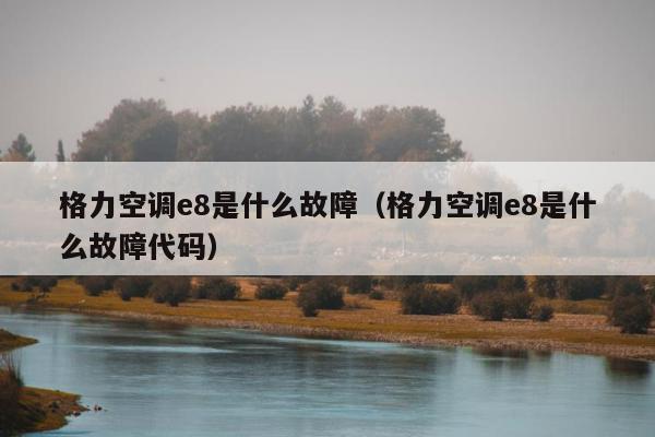 格力空调e8是什么故障（格力空调e8是什么故障代码）