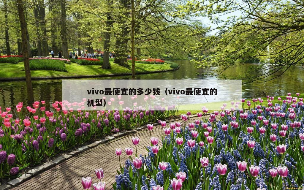 vivo最便宜的多少钱（vivo最便宜的机型）