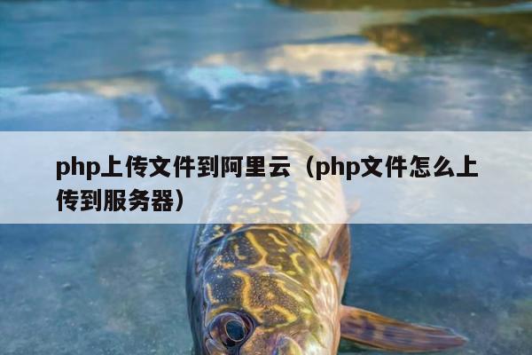 php上传文件到阿里云（php文件怎么上传到服务器）