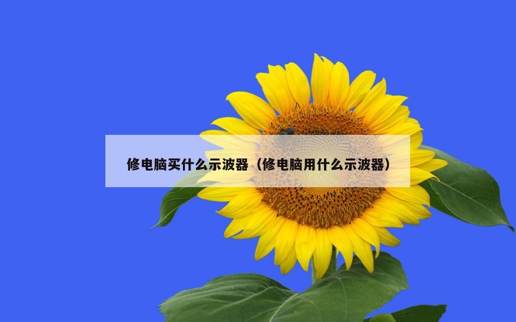 修电脑买什么示波器（修电脑用什么示波器）