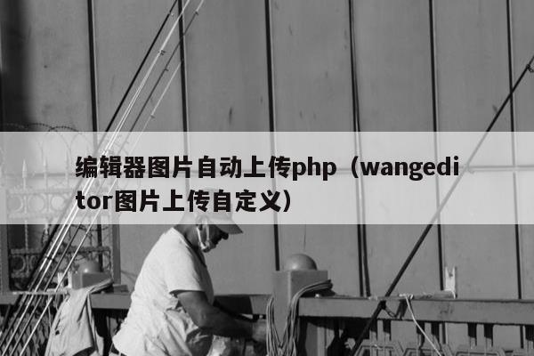 编辑器图片自动上传php（wangeditor图片上传自定义）