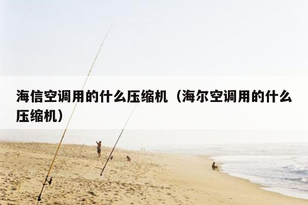 海信空调用的什么压缩机（海尔空调用的什么压缩机）