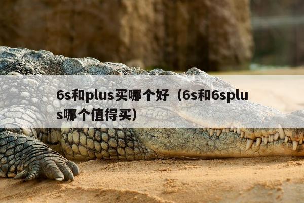 6s和plus买哪个好（6s和6splus哪个值得买）