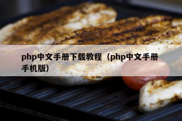 php中文手册下载教程（php中文手册 手机版）