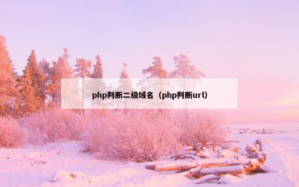 php判断二级域名（php判断url）