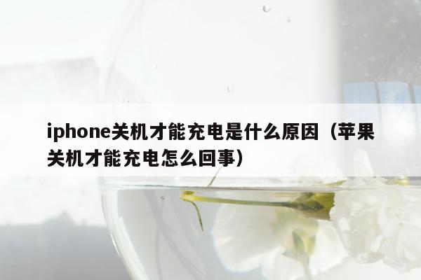 iphone关机才能充电是什么原因（苹果关机才能充电怎么回事）