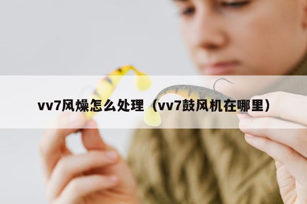 vv7风燥怎么处理（vv7鼓风机在哪里）