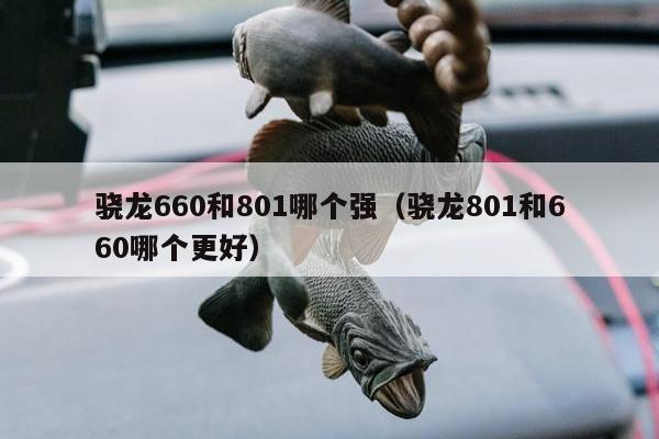 骁龙660和801哪个强（骁龙801和660哪个更好）